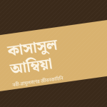 কাসাসুল আম্বিয়া — প্রচ্ছদ